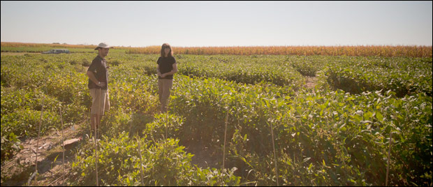 Bilyeu and Student assistant in soybean field