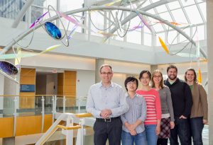 The research team at the Bond Life Sciences Center (left to right): Michael Petris, Sha Zhu, Yanfang Wang, Victoria Hodgkinson, Erik Ladomersky and Karen Nickelson. Photo by Aaron Duke.