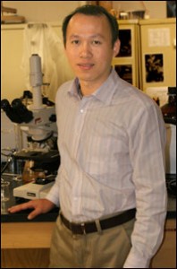 Mengshi Lin, assistant professor of Food Science.
