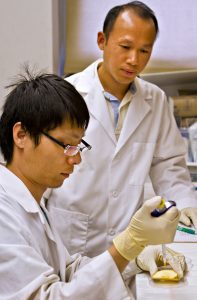 Associate Professor Mengshi Lin watches as graduate student Zhong Zhang applies silver nanoparticles to an apple. Thanks to their study, a reliable method of testing foods for the harmful particles has been found that might be implemented in the future.