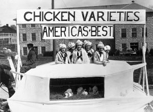 MU College of Agriculture poultry float 1919. Courtesy University Archives.