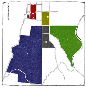 Adaptation of an 1880 Mizzou map showing the location of the MU College of Agriculture Farms. The red square is the 22 acres of the MU Quad. The other shaded areas were the 640 acres of the agricultural farms. The yellow-green block designated “B” today contains MU’s Memorial Union, Gentry and Read Halls, and the Agriculture Building. The green “C” area is now the location of the Animal Sciences Research Center and College of Veterinary Medicine. The blue “E” was the Horticulture Farm, now the home to some of MU Athletics and University of Missouri Healthcare.