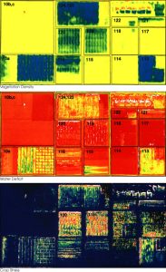 These three false-color images demonstrate some of the applications of remote sensing in precision farming. The goal of precision farming is to improve farmers’ profits and harvest yields while reducing the negative impacts of farming on the environment that come from over-application of chemicals. The images were acquired by the Daedalus sensor aboard a NASA aircraft flying over the Maricopa Agricultural Center in Arizona. The top image (vegetation density) shows the color variations determined by crop density, where dark blues and greens indicate lush vegetation and reds show areas of bare soil. The middle image is a map of water deficit, derived from the Daedalus’ reflectance and temperature measurements. Greens and blues indicate wet soil and reds are dry soil. The bottom image shows where crops are under serious stress, as is particularly the case in Fields 120 and 119 (indicated by red and yellow pixels). These fields were due to be irrigated the following day. Courtesy NASA. 