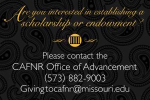 Office of Advancement scholarship graphic