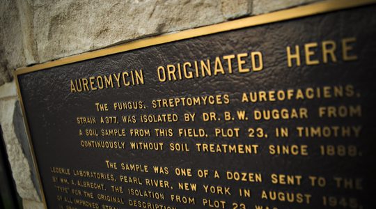 CAFNR Research Symposium and Aureomycin anniversary: Celebrating decades of discovery (click to read)