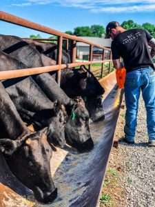 Montgomery has plans to grow his business even more this year. He is looking at adding pork and chicken products, offering tours and farm-to-table dinners, and investing in exciting partnerships with veteran organizations. Photo courtesy Patrick Montgomery.