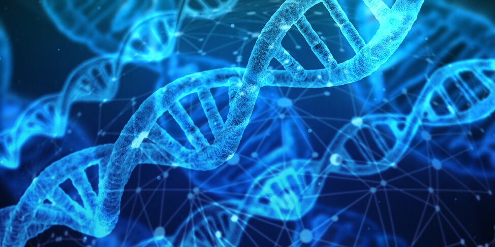 DNA Day (click to read)