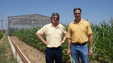 Felix Fritschi (right) and Bob Sharp received a $1.56 million grant in 2009 to construct drought simulators. The first two were built at the Bradford Research Center. Additional simulators have been built at the Fisher Delta Research Center, in Portageville, and the Horticulture and Agroforestry Research Center, in New Franklin.