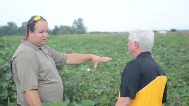 The Fisher Delta Research Center’s go-to research scientist for cotton is Calvin Meeks, who joined the team at the Center in 2018.