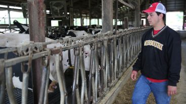 Matthew Burdick grew up in Kansas City and was interested in becoming a veterinarian when he came to the University of Missouri. He began working at Foremost in 2016 to get more hands-on experience with cattle.
