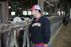 Foremost Dairy Farm Manager John Denbigh said a majority of the student helpers are interested in going to veterinary school. Many of the students have never dealt with dairy cows before, either. Burdick followed that exact path.