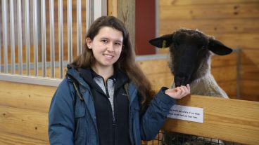Emily Wawrzyniak had never heard of the National FFA Organization before her freshman year at Rock Bridge High School, in Columbia. She got involved in the organization right away, though, and soon developed a passion for agriculture, especially animals. That passion led her to the University of Missouri, where she was active at Jefferson Farm and Garden. Wawrzyniak’s involvement at JFG actually began during her senior year of high school, with the Center playing an important role in her supervised agricultural experience (SAE) project. Wawrzyniak received a lamb scholarship during her sophomore year at Rock Bridge, giving her a project centered on sheep.