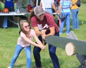 Cutting a tree 