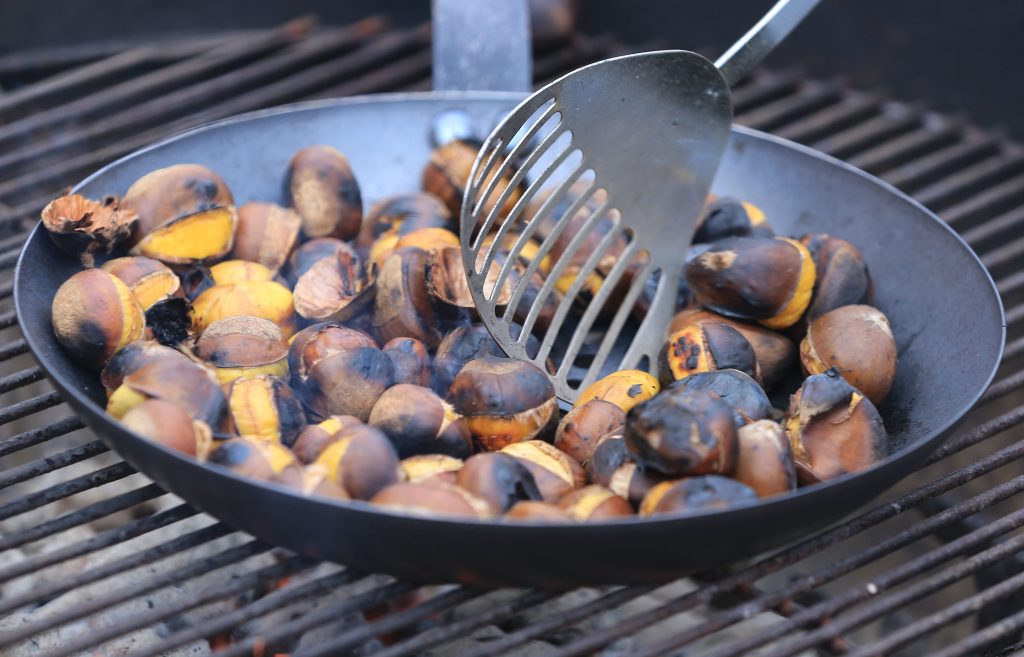 Another Missouri Chestnut Roast is in the books, and guests were treated to a variety of activities and presentations related to horticulture and agroforestry during the event, which took place Saturday, Oct. 5.