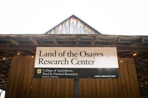 The more than 500 acres that make up the Land of the Osages Research Center were an estate gift from Doug Allen, who established MU’s H.E. Garrett Endowed Chair Professorship in 2006 and passed away in 2017.