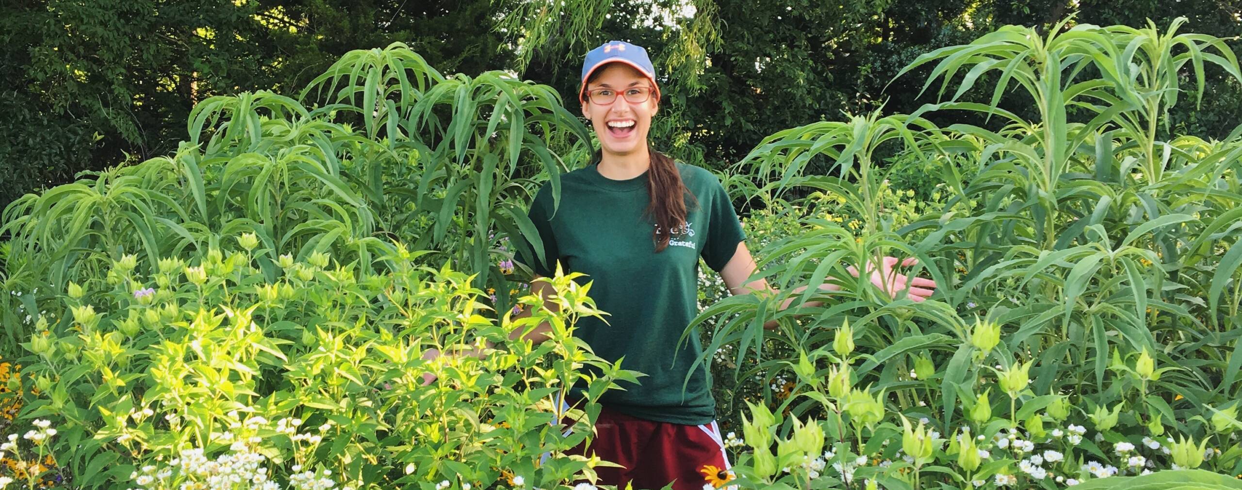 Katie LaPlante, Plant, Insect & Microbial Sciences (click to read)