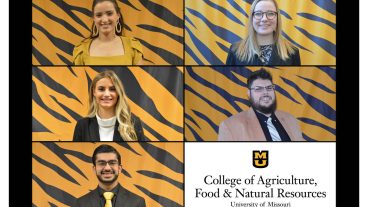 Each year, the Mizzou Alumni Association Student Board selects 39 outstanding seniors and 18 outstanding graduate students for its annual Mizzou ‘39 and Mizzou 18 Awards. This year, the MU College of Agriculture, Food and Natural Resources had four students receive the Mizzou ‘39 Award (Holly Enowski, Devesh Kumar, Jacqueline Janorschke and Michaela Thomson) and one student receive the Mizzou 18 Award (Jason Entsminger).
