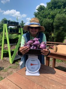 Maryfrances DiGirolamo with 12 pounds of kohlrabi harvested this past July.