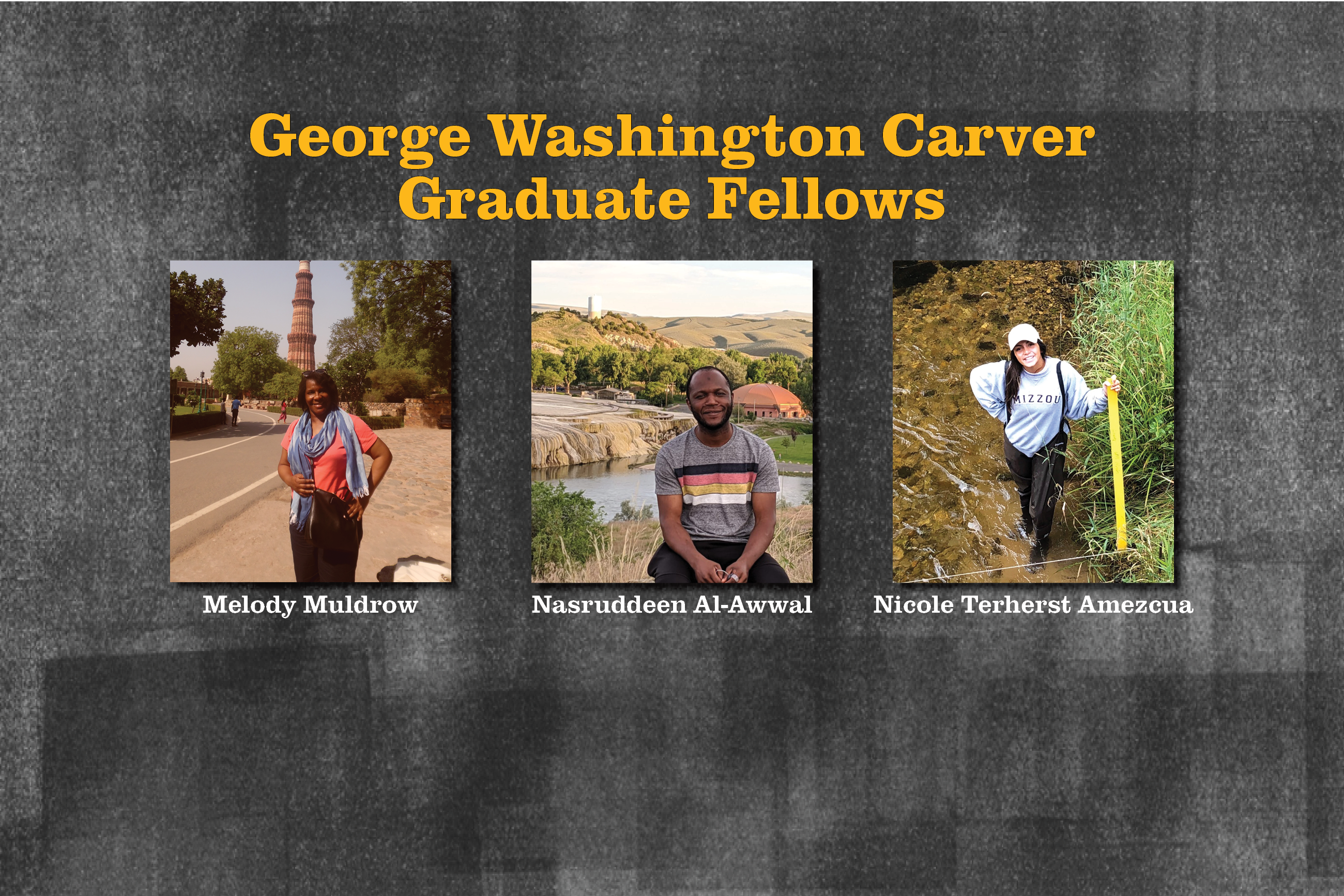 George Washington Carver Graduate Fellows (click to read)
