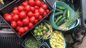 Produce in containers