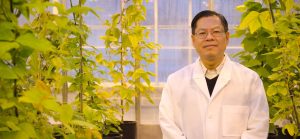 A person stands in a greenhouse wearing a lab coat and looking at the camera