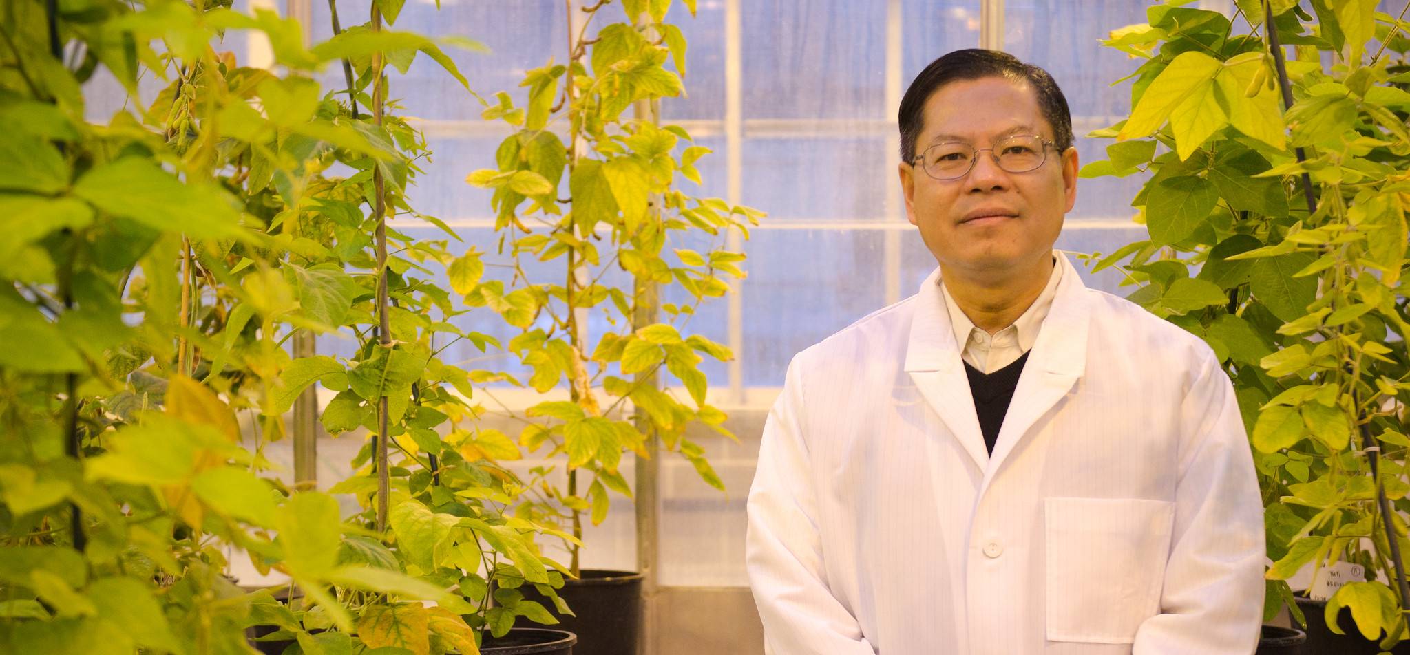 Henry Nguyen Named Editor of The Plant Genome (click to read)