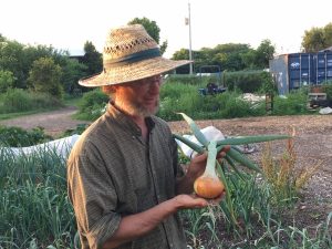 Curtis Millsap holding a yellow onion grown at his operation