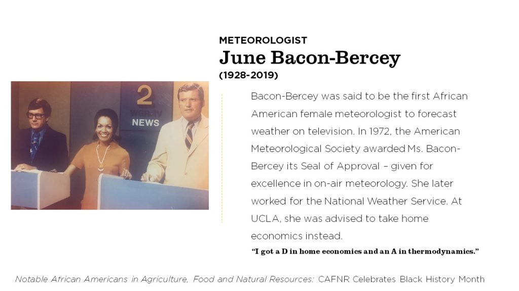 June Bacon-Bercey