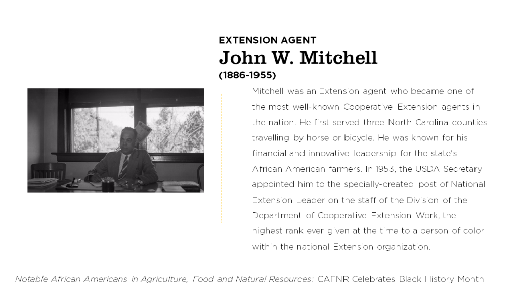 John W. Mitchell