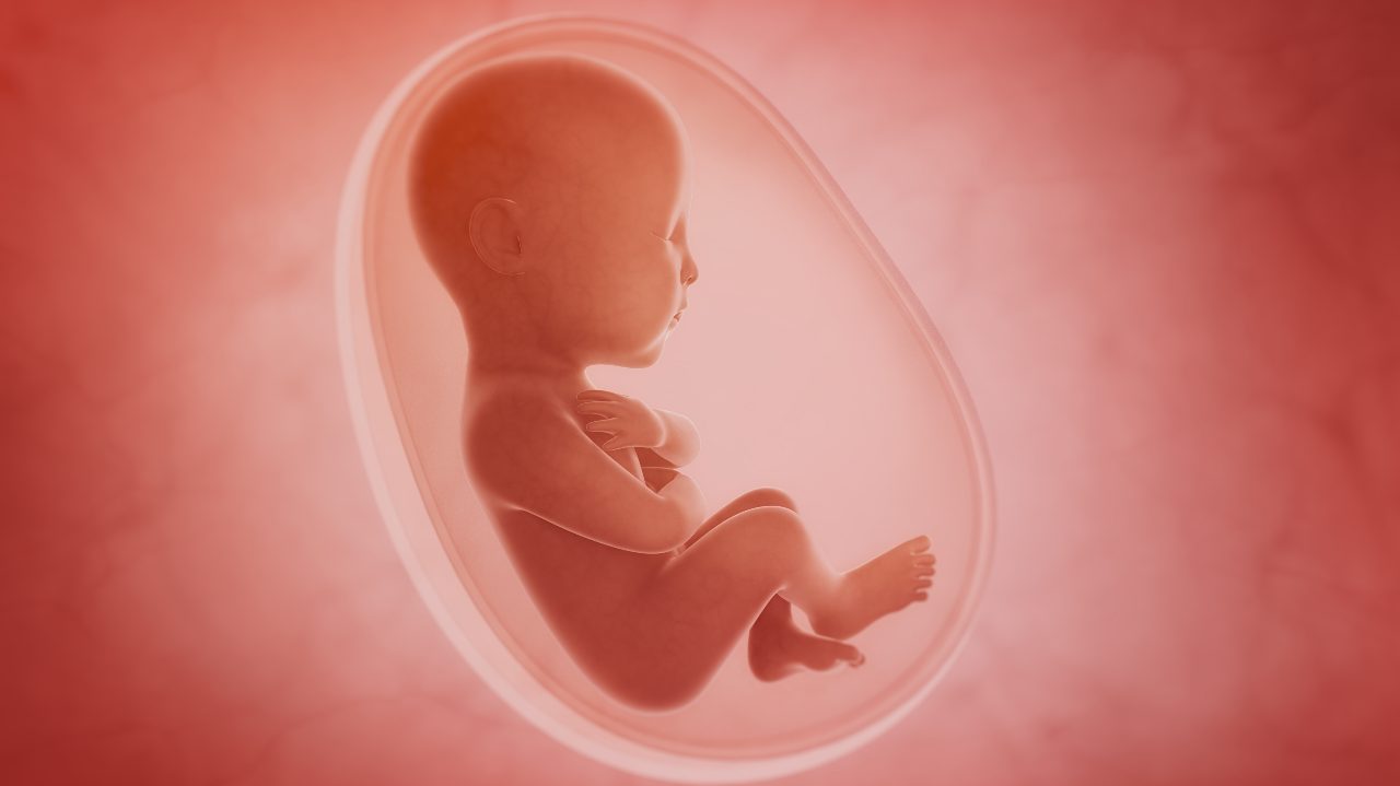 Breakthrough Could Lead to Early Detection of Pregnancy Complications (click to read)