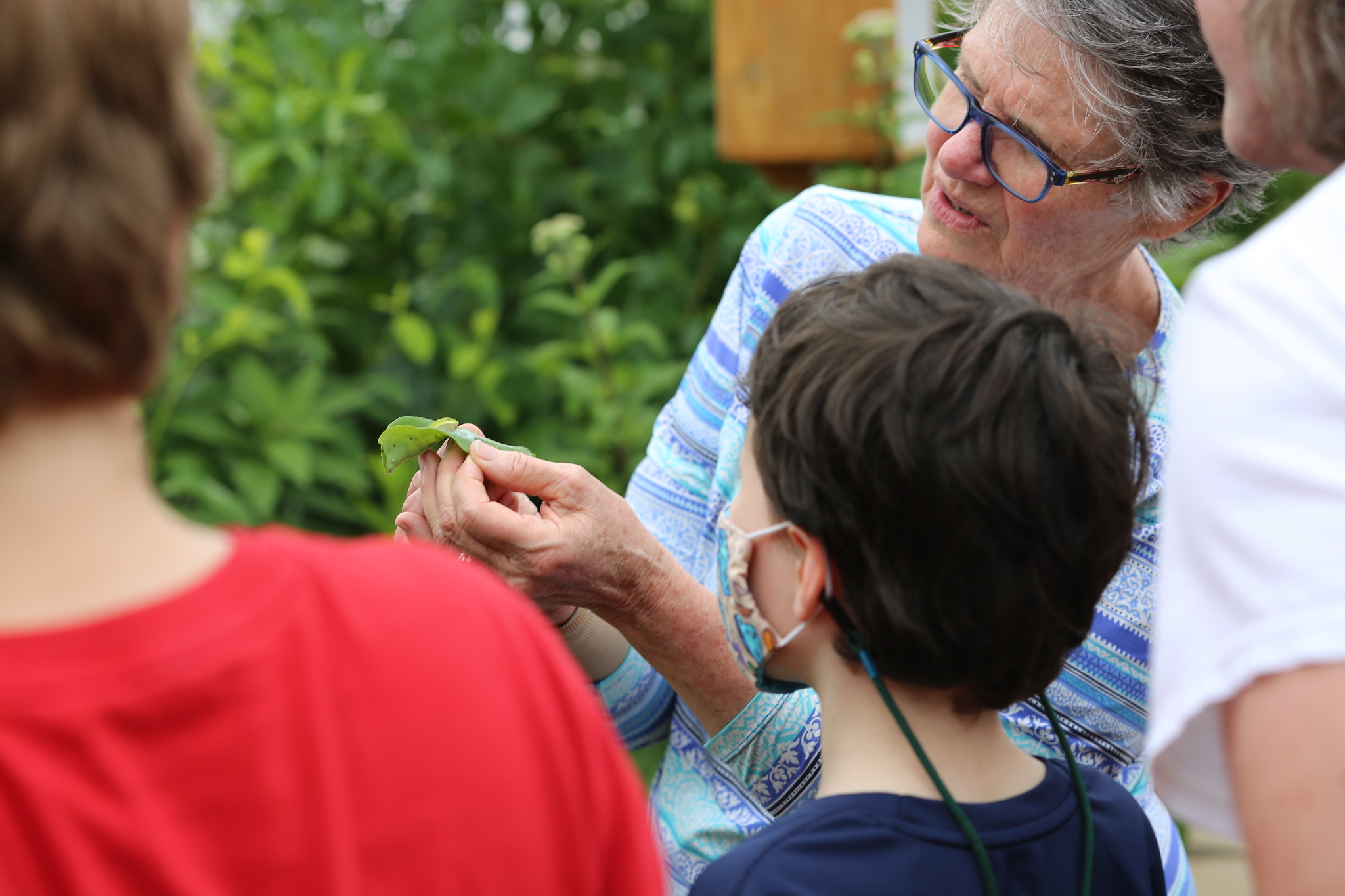 Science Night at Jefferson Farm and Garden: Help Save the Pollinators (click to read)