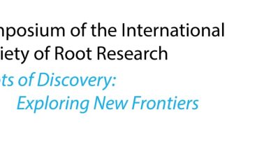 Two triennial events, the 11th Symposium of the International Society of Root Research (ISRR11) and the ninth International Symposium on Root Development (Rooting2021), offered the root research community a closer look at projects from around the globe. In 2021, more than 700 participants from 52 countries had the opportunity to virtually attend both events as a joint venture. The event, which was held May 24-28, was organized to provide as much live interaction among participants as possible.