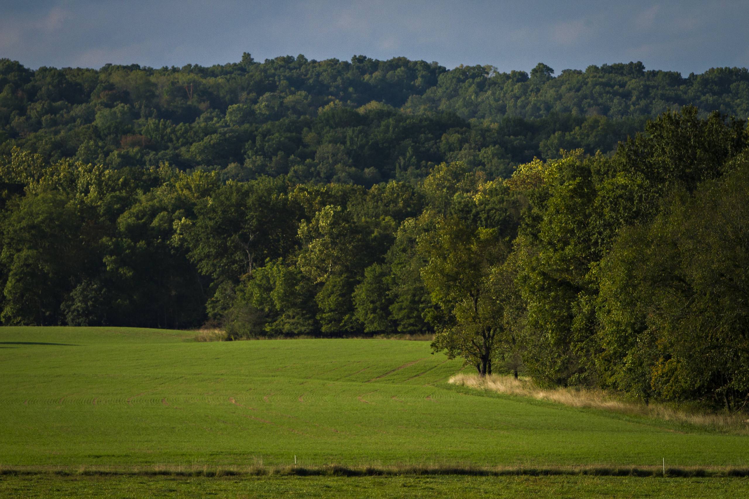 National Science Foundation Taps Danforth Center to Lead New Institute to Advance the Restoration of Natural and Agricultural Ecosystems (click to read)