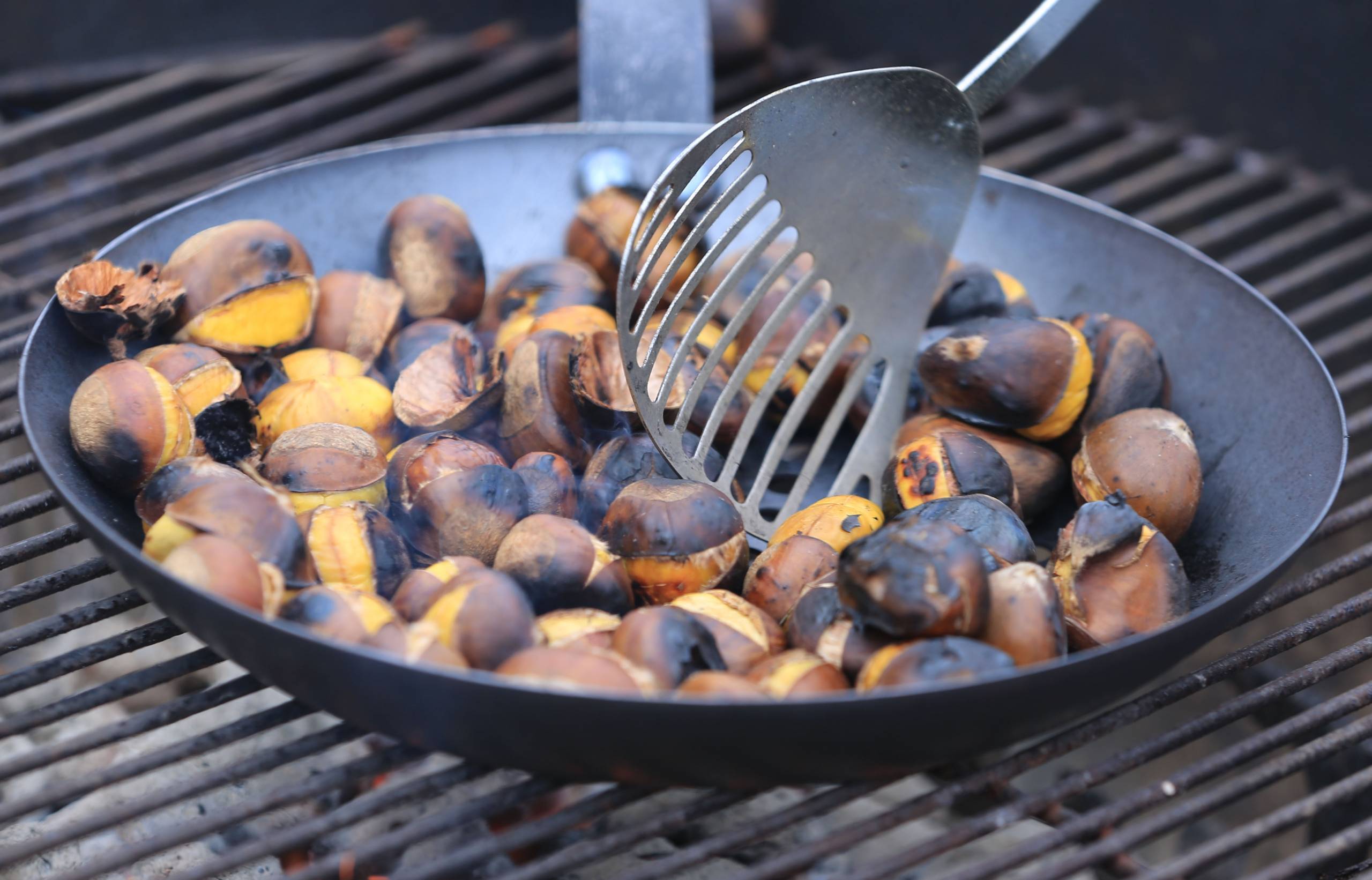 Celebrating Fall Harvest Season with Roasted Chestnuts (click to read)