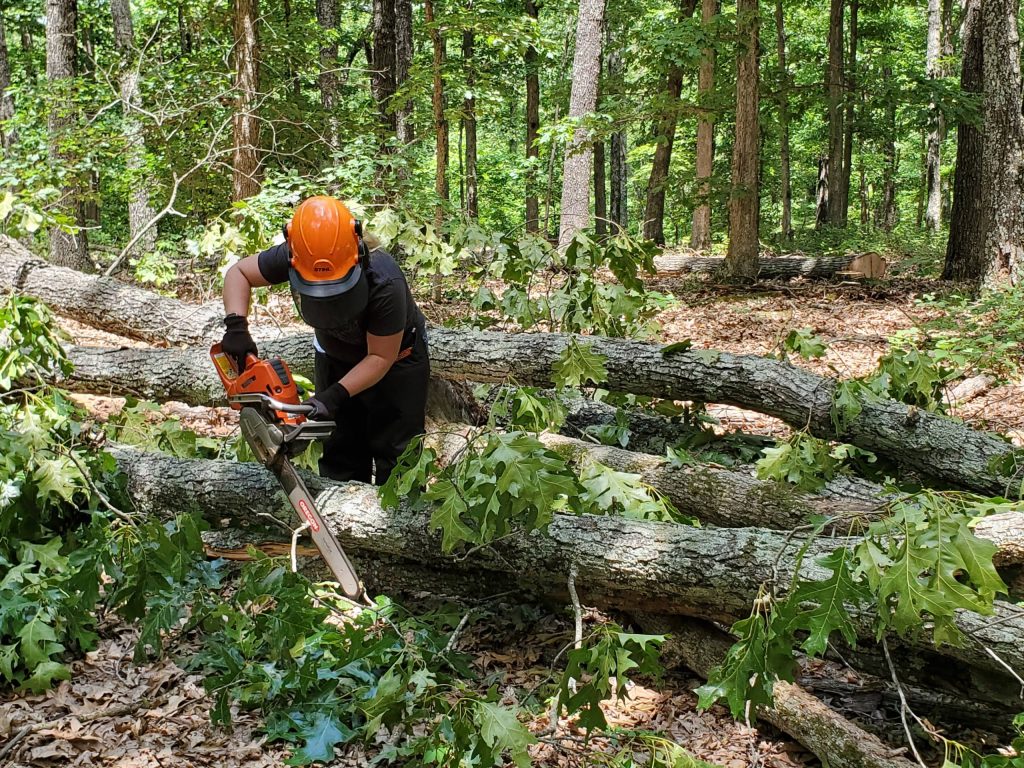 women with an orange helmet and chainsaw cutting downed logs