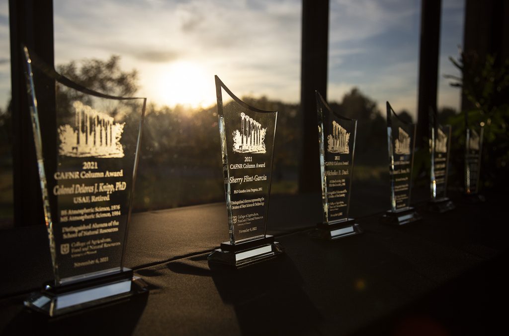 six glass awards reflect golden hour light through a window