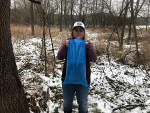Collecting sap in the woods