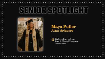 SeniorSpotlight-Puller