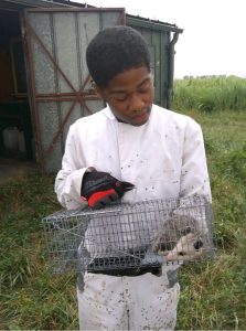 Smith earned an agriculture sciences degree from Tennessee State University, with a minor in animal science. Smith grew up in Memphis, Tennessee, where he developed a passion for animals at an early age. Photo courtesy of Jermayne Smith.