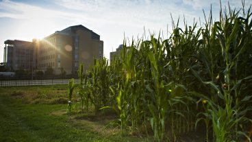 The Missouri Agricultural Experiment Station (MOAES) Research, Extension and Education Centers (REECs) have played and continue to play an important role in helping each of CAFNR's Programs of Distinction on its drive to distinction.