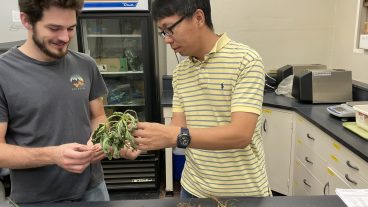 Peng and a student are in a lab holding some plants together.