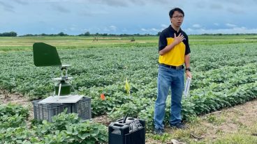 Peng stands in front of a soybean field and speaks to the audience at a field day.