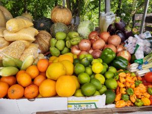A colorful array of fruits and vegetables sit together in a display.