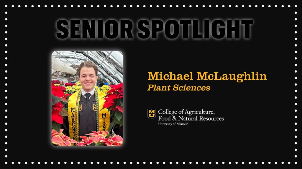 Senior Spotlight graphic featuring student wearing graduation gown and stole.