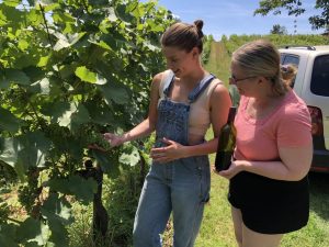 Austria served as Alexander’s first study abroad experience. She spent her internship at a vineyard in the countryside of Vienna, Austria’s capital city. Photo courtesy of Grayson Alexander. 