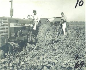 A black and white photo of an older man in a ball cap on a tractor and a younger white man in white pants and work boots working with an implement on the rear of the tractor in a soybean field.