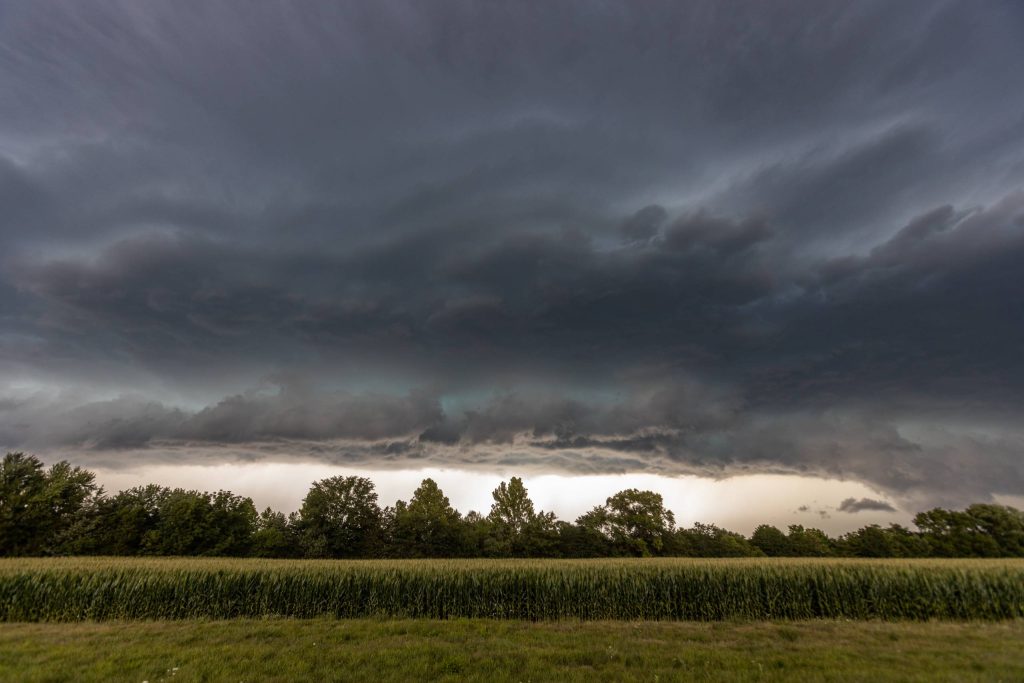 dark storm clouds over a corn field