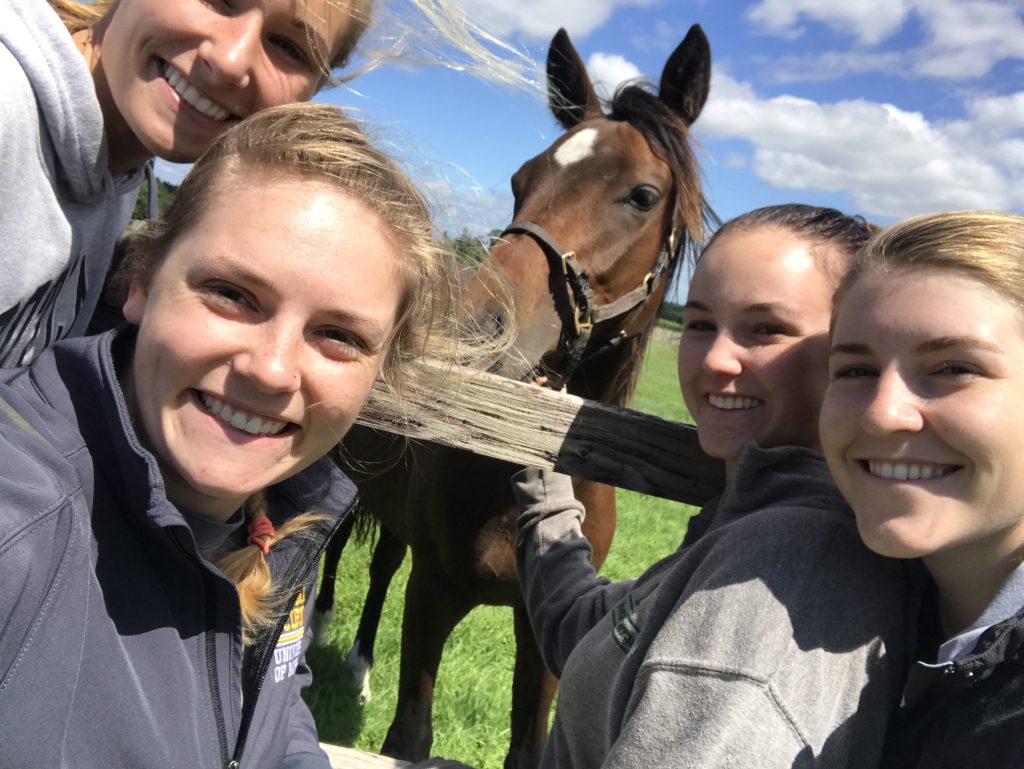 students and a horse