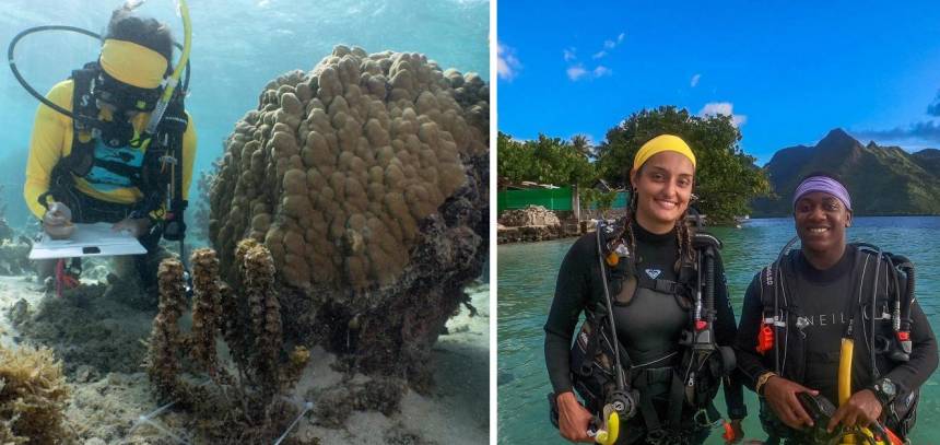 Alyssa Fritz studying coral underwater, and Alyssa Fritz with another student in scuba gear