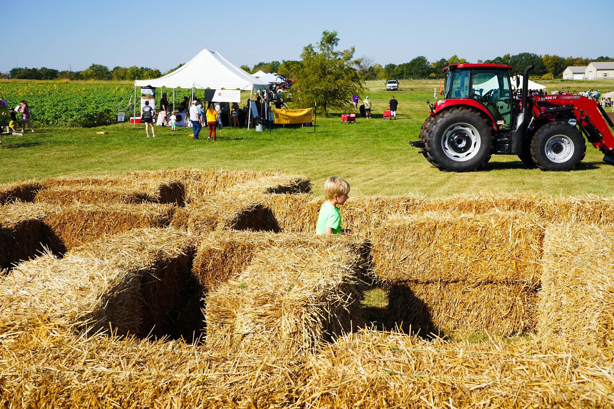 In the foreground is a straw bale maze with a young child with blonde hair playing in it. In the back, there is a red tractor and a white tent with several people gathered around. It's a sunny day with blue skies.